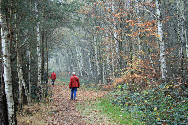 OMGEVING TURNHOUT - ZEVENDONK