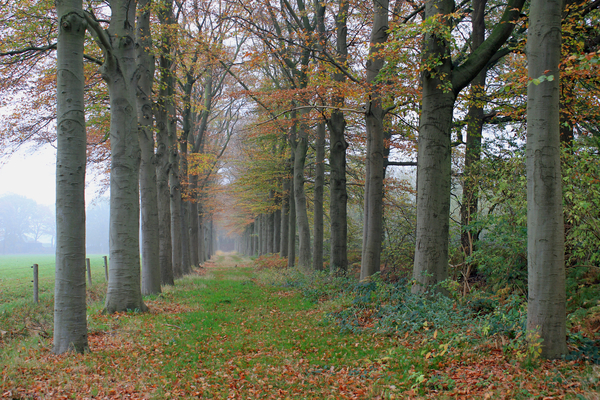 OMGEVING TURNHOUT - ZEVENDONK