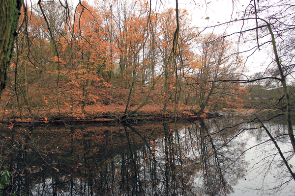 OMGEVING MERKSEM - BRASSCHAAT