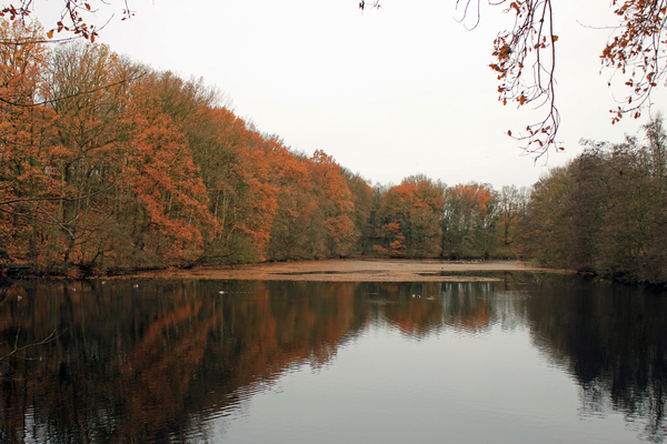 OMGEVING MERKSEM - BRASSCHAAT