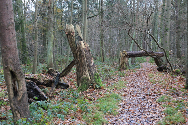 OMGEVING MERKSEM - BRASSCHAAT