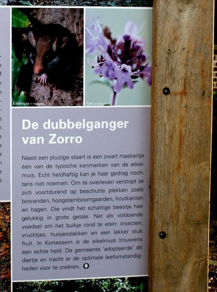 zammelen 11 dec 2011 002a
