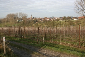 zammelen 11 dec 2011 007