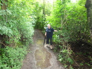 8july Harelbeke 13de Gavertocht