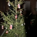 kerststallentocht 2011 042