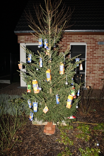 kerststallentocht 2011 049