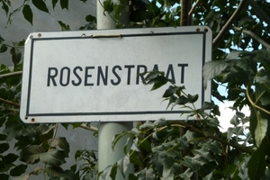 Rosenstraat