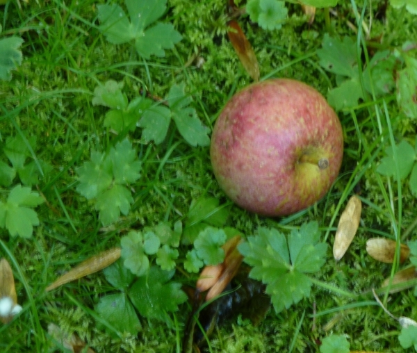 Antwerp Doel Graffiti