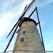 Molen Scheldelaan