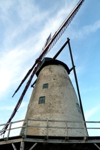 Molen Scheldelaan