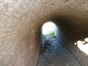 Tunnel naar vijver