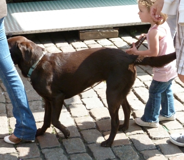 Antwerpen Sinksenfoor