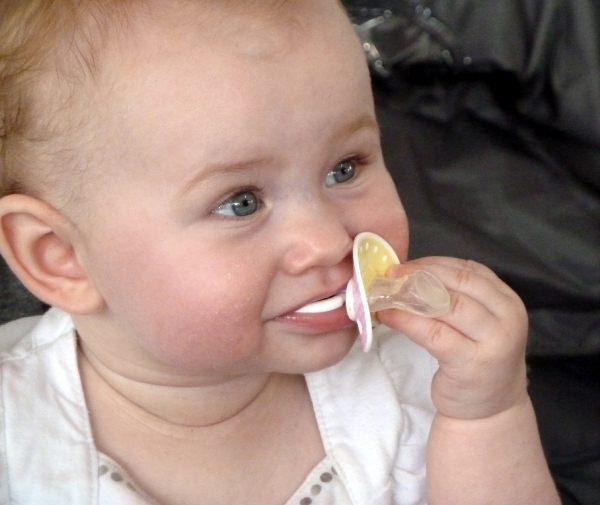 Antwerpen Sinksenfoor