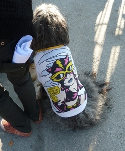 Hondenprotest of fashionstatement