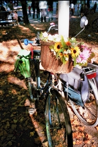 Bloemenfiets