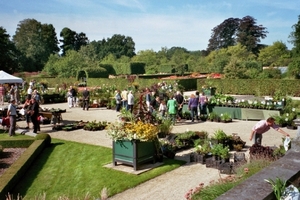 Vorderstein park plantendag