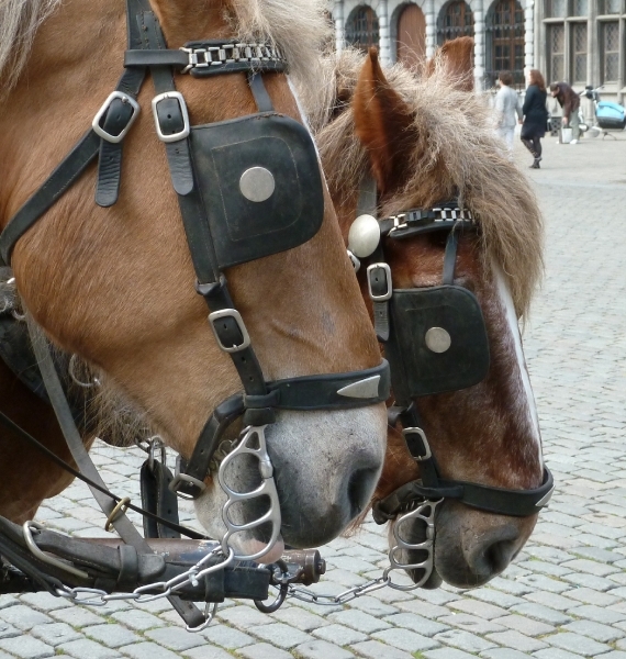 Antwerpen Grote Markt