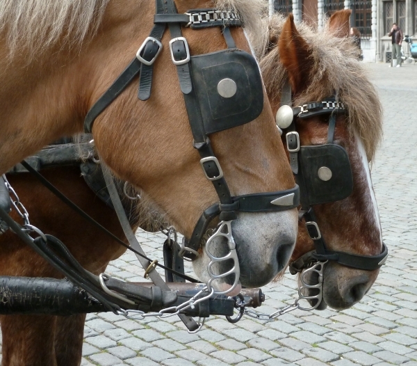 Antwerp, straat