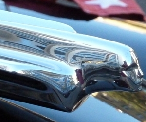 Cadillac voorzicht beeldje