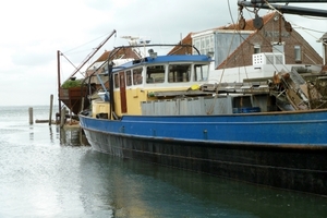 Mosselboot