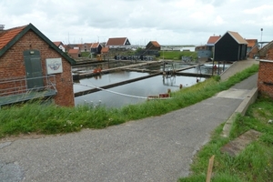 Oesterputten