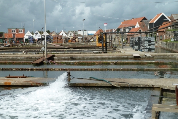 Zout Scheldewater opgepompt voor de oesterputten