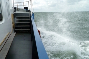 Ocean(Schelde) spray