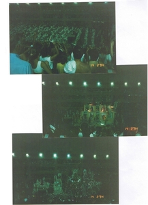 BRASIL-FEB.---1994 (36)