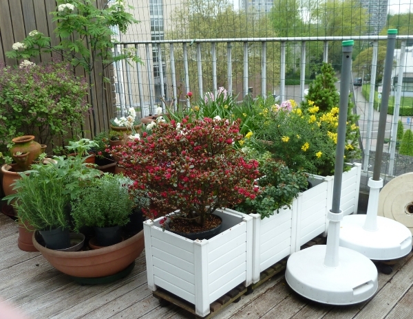 Lente op komst