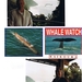 Nieuw Zeeland-1997 (60)