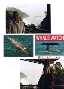 Nieuw Zeeland-1997 (60)