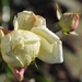 019