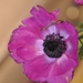 022