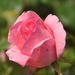 027
