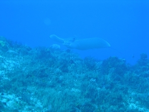 P1010696