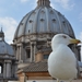 Citytrip Rome - dag 3 - Il Vaticano