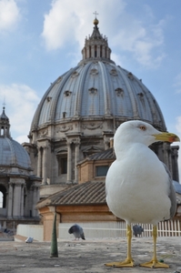 Citytrip Rome - dag 3 - Il Vaticano