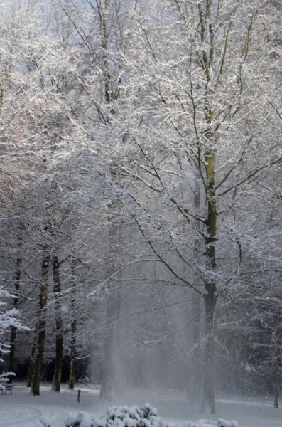 Rivierenhof winter