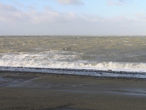 Storm D 024