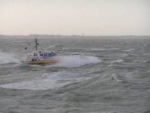 Storm D 050