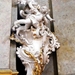 2011_12_06 Praag 077