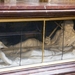 2011_12_06 Praag 081