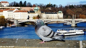 2011_12_06 Praag 190