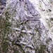 2011_12_07 Praag 025