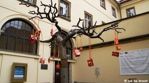 2011_12_08 Praag 118