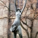 2011_12_09 Praag 003