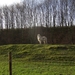 2012-01-04 KKT Rumst-Waarloos-Duffel verk 002