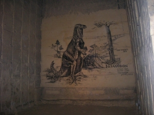 DSCN1503