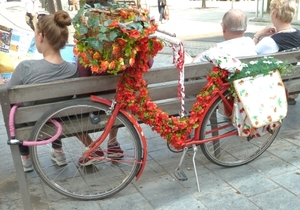 Bloemenfiets