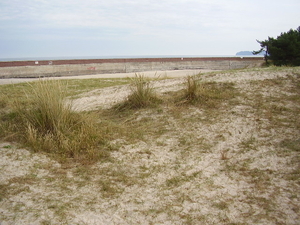 Het ommuurde strand bij Prora